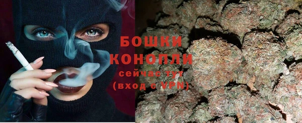 гашик Арсеньев