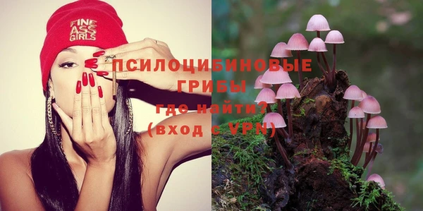 MESCALINE Аркадак