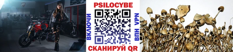 МЕГА ссылка  это Telegram  Псилоцибиновые грибы ЛСД  Устюжна 